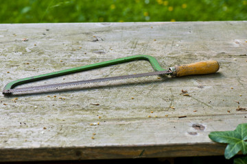 Wall Mural - various old and rusty garden tools for working in the garden with grass and earth composition