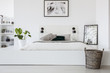 © Photographee.eu - Basket in front of bed on platform with plant and poster in white bedroom interior. Real photo
