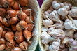 shallots onion and garlic on basket