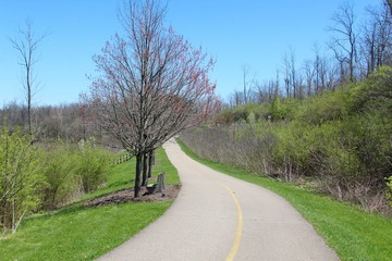 The long sidewalk in the park on a sunny spring day.