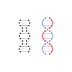 Wall Mural - Gray and colored dna icons can be used as a logo. Vector on white background.