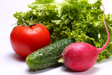 Poster - Tomato, radish, lettuce and cucumber on a white background