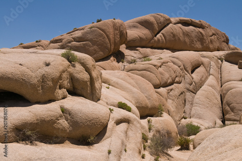 Fotografía  Jumbo Rocks