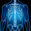 © fandijki - Realistic x-ray shots.Images use grid gradients and layer blending effects.