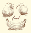 Apple, pear and banana on a white background. Sketch. Vector