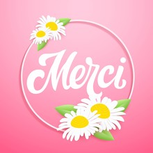 Merci, French Thank You Brush Hand Lettering In Circle Frame, With Beautiful Camomile Flowers, Daisy With Green Leaves On Pastel Pink Background. Vector Paper Art Illustration.