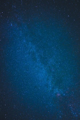 blue dark night sky with many stars above field of trees.