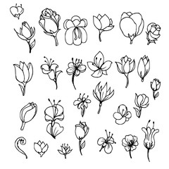 Wall Mural - Hand drawn Sketch doodle vector line Flower icon element set eps10
