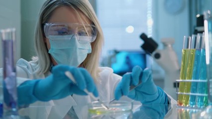 Wall Mural - close-up of a beautiful young female life scientist working at a laboratory. scientist cutting and p
