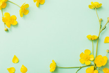 Yellow Buttercups On Green Paper Background