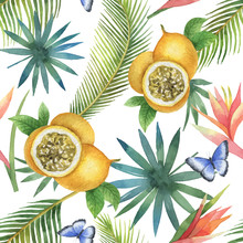 Watercolor Vector Seamless Pattern Of Passion Fruit And Palm Trees Isolated On White Background.