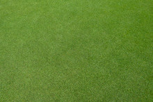Golf Green Field