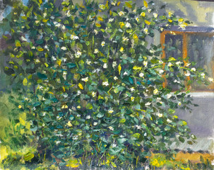 Sticker - Texture oil painting on canvas Green flowering bush of jasmine near house illustration artwork art nature landscape