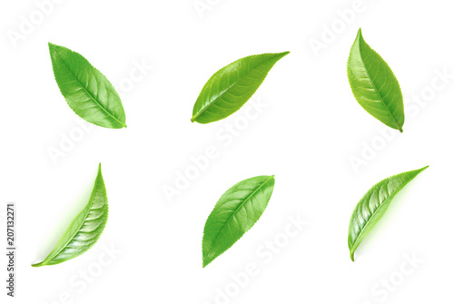 Zdjęcie: Green tea leaf collection isolated on white background Green tea leaf collection isolated on white background