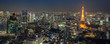 City skyline and Tokyo Tower viewed from Roppongi Hills, Tokyo, Japan