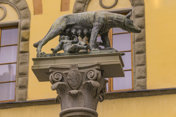 Capitoline Wolf statue in Siena, Italy