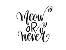 Meow Or Never - Hand Lettering Inscription Text About Animal