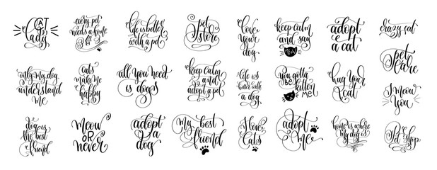 Wall Mural - set of 25 hand lettering positive quote about cat and dog