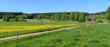 Finland countryside. Two old empty barns and dandelion meadow.