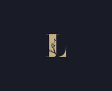 Letter L Logo Design Template. Luxury Logo
