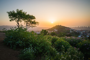 Wall Mural - Beautiful viewpoint of Barcelona at sunrise, natural location in spring.