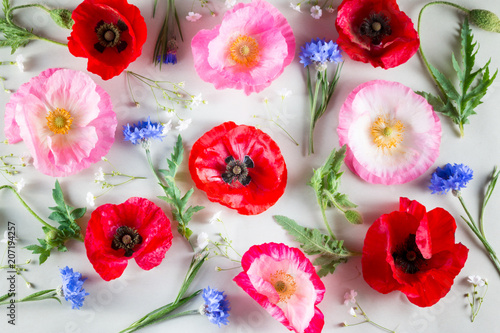 Flowers Background Red And Pink Poppy And Blue Cornflower On