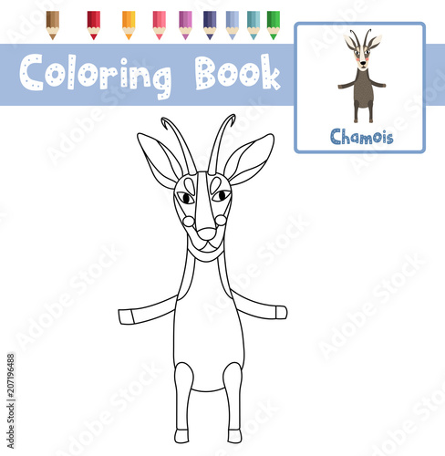 Preschool Pet Animals Worksheet - Preschool & K Worksheets