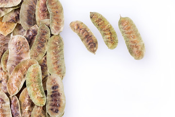 Sticker - Acacia pods - Senna alexandrina - Cassia acutifolia