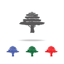 Cypress Tree Icon. Elements Of Trees In Multi Colored Icons. Premium Quality Graphic Design Icon. Simple Icon For Websites, Web Design, Mobile App, Info Graphics