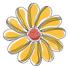 beautiful flower decorative icon vector illustration design