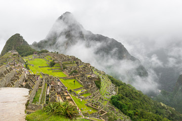 Wall Mural - A view of Machu Picchu's citadel, in Vilcabamba mountain range, Peru