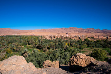 Wall Mural - Landscape view of Atlas mountains and oasis around Douar Ait Boujane village in Todra gorge in Tinghir, Morocco