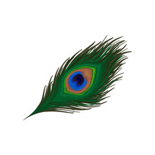 Beautiful Emerald-green Feather Of Peacock. Plumage Of Wild Bird. Detaiked Flat Vector Element For Print, Promo Poster Or Flyer
