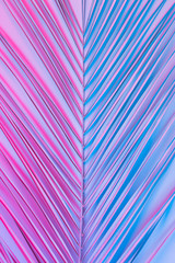 Wall Mural - Tropical and palm leaves in vibrant bold gradient holographic neon  colors. Concept art. Minimal surrealism background.