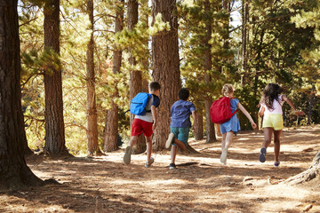 Wall Mural - Children Running Along Forest Trail On Hiking Adventure