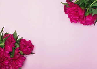 Wall Mural - Bright peonies on the pink background