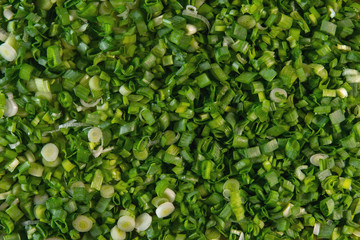 Macro background texture of green chives.