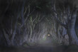 Dark Hedges - Nordirland - Einzelne Autoscheinwerfer am Ende einer gespentisch, knorrigen, alten Baumallee bei Nacht und Nebel im Mondlicht