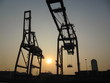 Industrial cranes from a habour during sunset