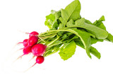 Fototapeta Sypialnia - Bunch of fresh radish with green leaves on white front