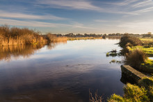 River Avon At Christchurch