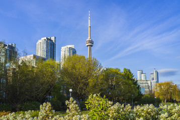 Toronto cityview landscape at Lake Shore Blvd West