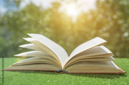 Obraz Dibond Open book on the green grass in the sun. hobby. free time. recreation. literature. education.