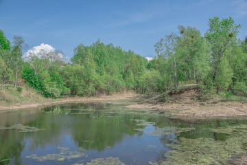 Spring, landscape with lake, green trees and blue sky with white clouds