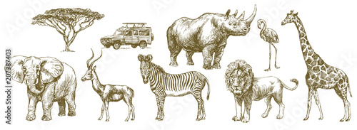 African safari animal. Hand drawn set. Wallpaper Mural