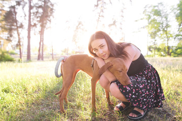 Wall Mural - Cute girl hugs a young beautiful dog against the backdrop of a park on a sunny summer day and looks at the camera. Portrait of a dog and owner in the park. Hugs with a pet