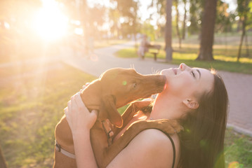 Wall Mural - Portrait of a dog kissing a happy girl in a park against the background of the sunset. Leisure with a dog in the park. Girl hugs her with a dog on the summer sunny day at the background of the sun