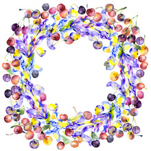 Festive, Fruitful, Vegetable, Berry, Floral Wreath Of Irises And A Red, Ripe Cherry. Watercolor. Illustration