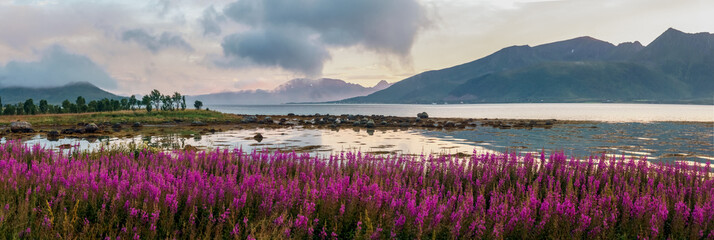 Arctic mountains and fjord in northern Norway at summer