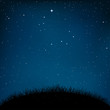 night starry sky grass and ground